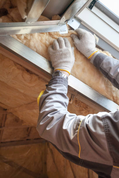 Best Eco-Friendly Insulation in Allardt, TN