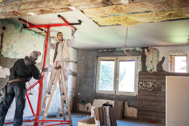 Best Geographic-Specific Insulation Services in Allardt, TN